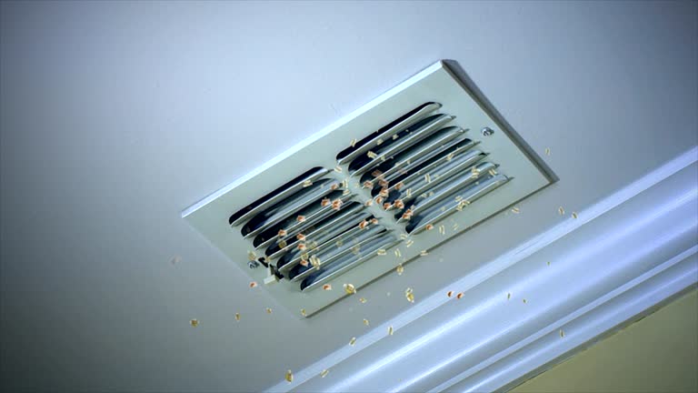 HVAC System Cleaning in Westport, NC