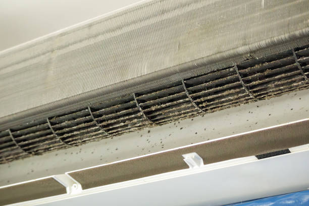 Best Emergency Air Duct Cleaning  in Westport, NC